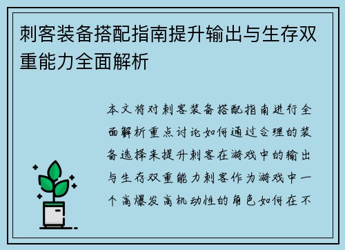 刺客装备搭配指南提升输出与生存双重能力全面解析 刺客装备搭配指南提升输出与生存双重能力全面解析